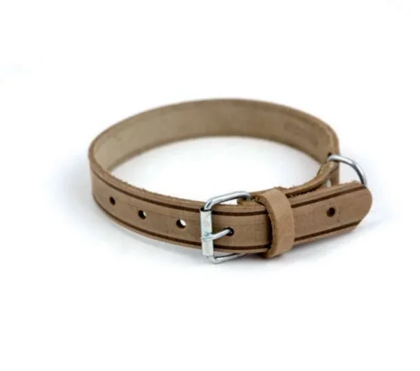 Deri Köpek Tasmaları