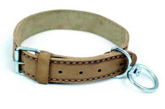 Deri Köpek Tasmaları