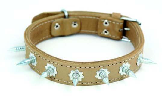 Deri Köpek Tasmaları