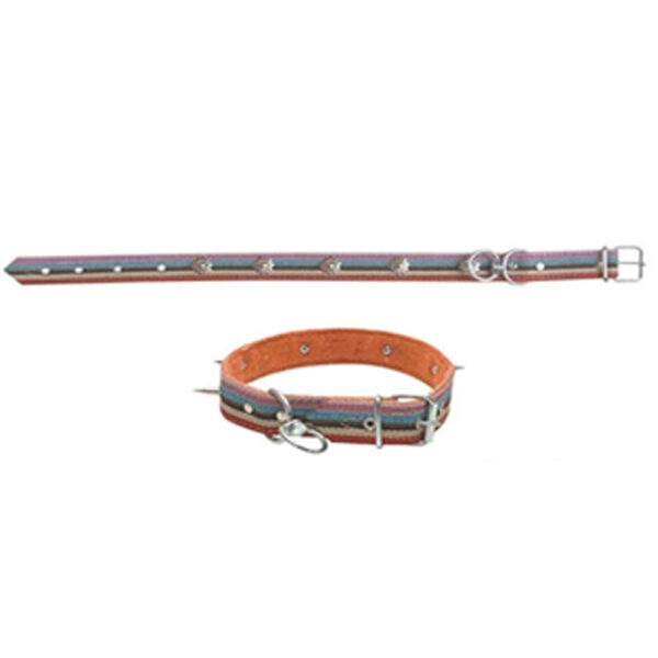 Kolon Köpek Tasmaları